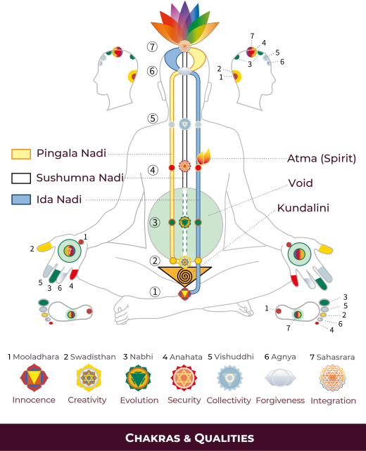 01a_Chakras-_-Qualities_SMO-01-1